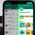 Wajib Tahu! 5 Alasan Beralih ke WhatsApp Business di 2026